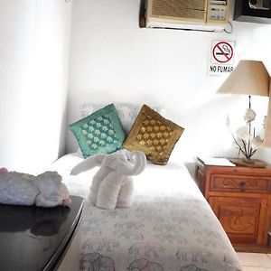 Habitación Individual